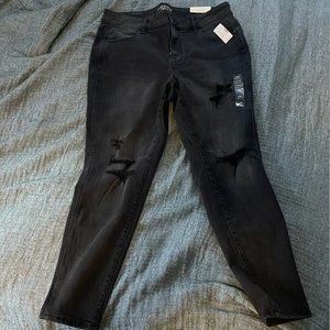 High Rise Distressed Jegging 14W